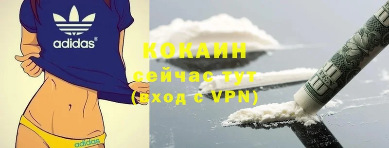 закладка  Красноармейск  COCAIN 99% 