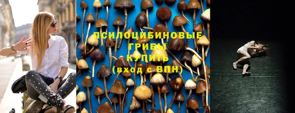 амф Михайловка