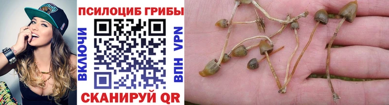 Псилоцибиновые грибы мухоморы Красноармейск